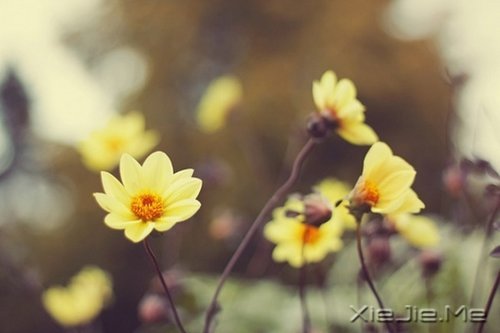 留下的，才是人生 (9)