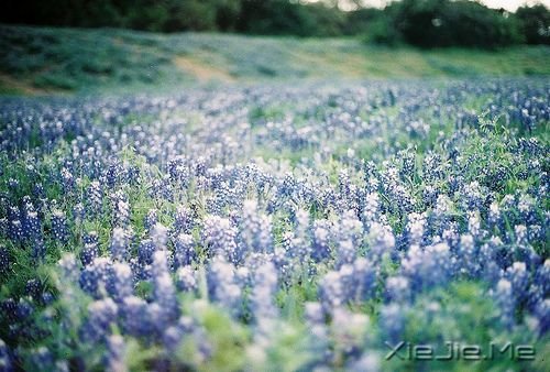 晚安心语：不要因为一时的心烦，做出一辈子的傻事 (3)