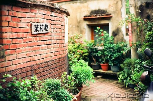 晚安心语：不要因为一时的心烦，做出一辈子的傻事 (8)