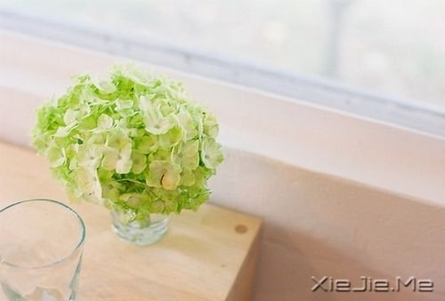 晚安心语：不要因为一时的心烦，做出一辈子的傻事 (10)