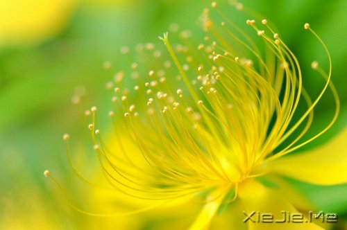 青春励志文章：如果你有梦想，就一定要捍卫它